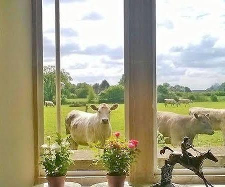 Battens Farm Cottages - B&B And Self-Catering Accommodation Yatton Keynell Buitenkant foto